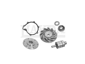 51065996066
51065996067-MAN-REPAIR KIT (WATER PUMP)